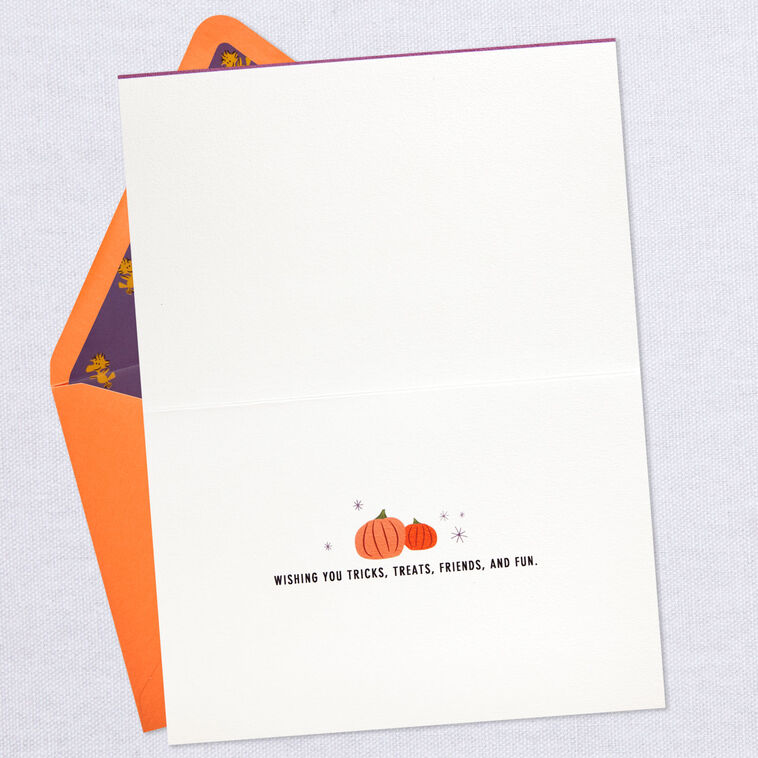 Hallmark Peanuts® Gang In The Pumpkin Patch Halloween Card