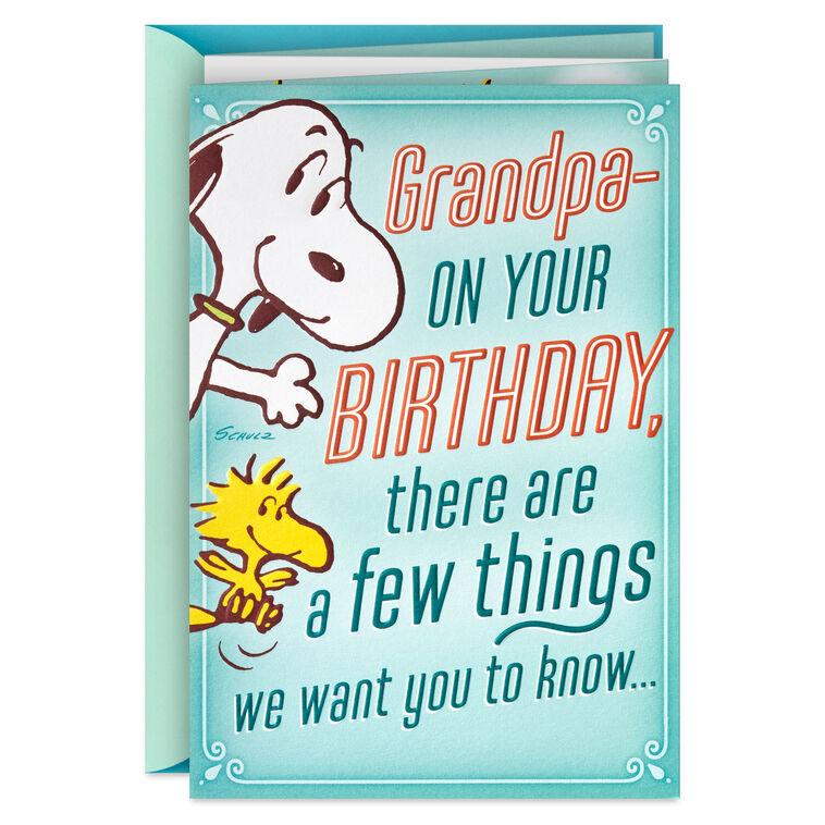 hallmark Peanuts® More Than a Few Great Things About You Pop-Up Birthday Card for Grandpa