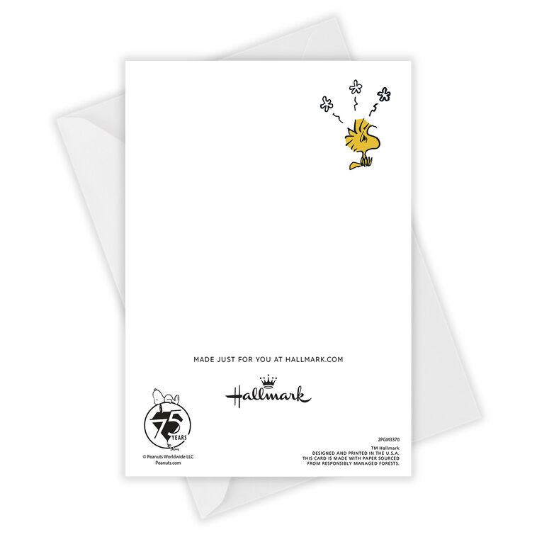 Hallmark Peanuts® My Anxieties Have Anxieties Custom Self Care Card