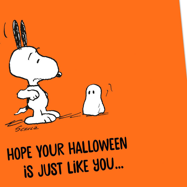 Hallmark Peanuts® Snoopy And Ghost So Awesome It's Scary Halloween Card