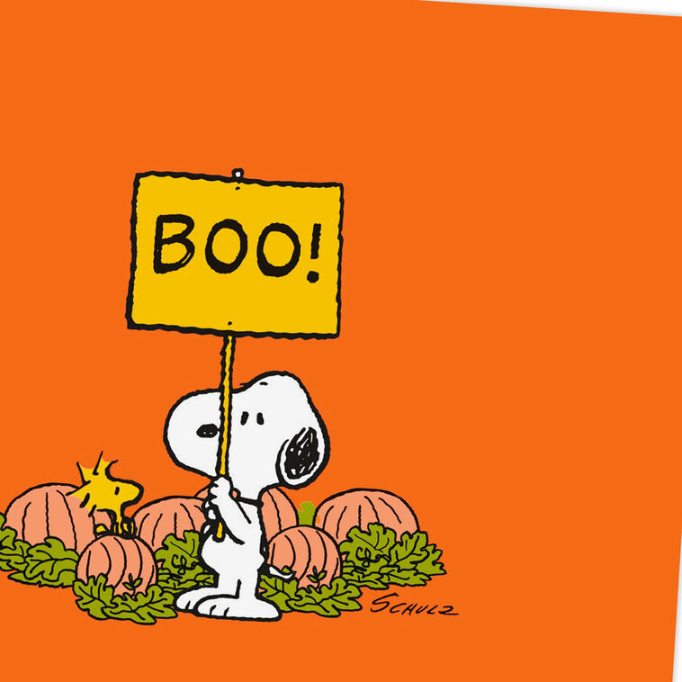 Hallmark Peanuts® Snoopy And Woodstock Boo-Hoo Miss You Halloween Card
