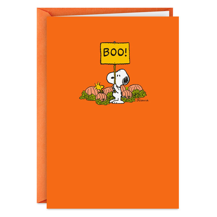 hallmark Peanuts® Snoopy and Woodstock Boo-Hoo Miss You Halloween Card