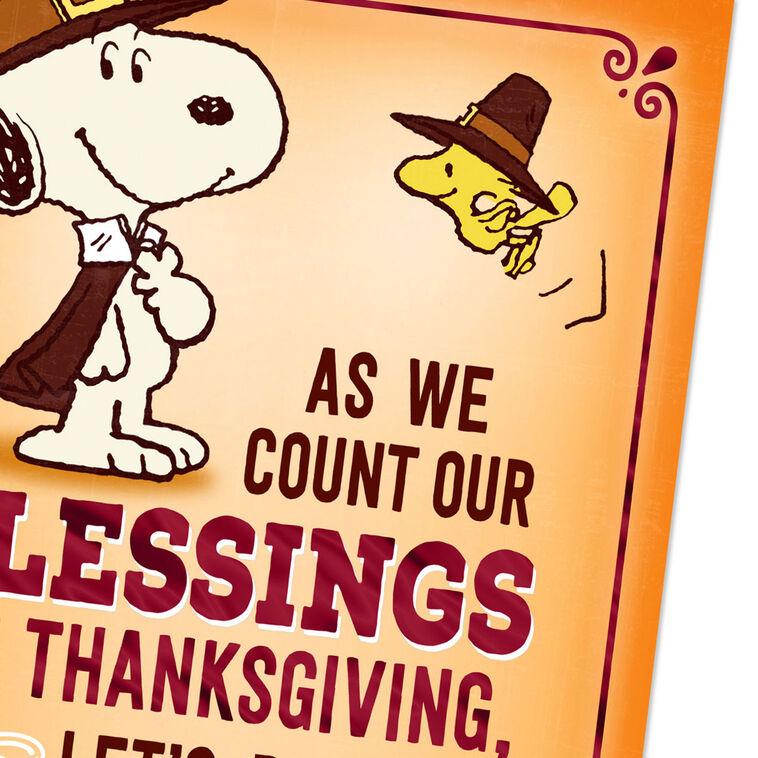 Hallmark Peanuts® Snoopy And Woodstock Counting Our Blessings Funny Thanksgiving Card