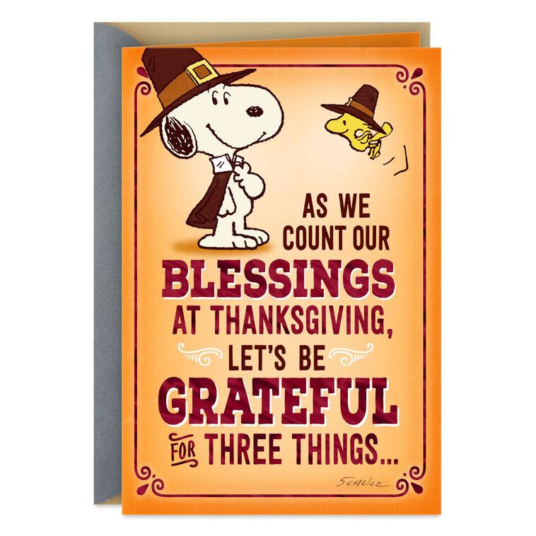 hallmark Peanuts® Snoopy and Woodstock Counting Our Blessings Funny Thanksgiving Card