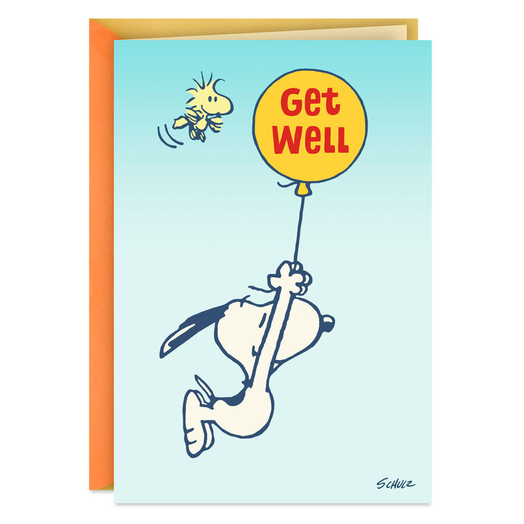 hallmark Peanuts® Snoopy and Woodstock Hang in There Get Well Card