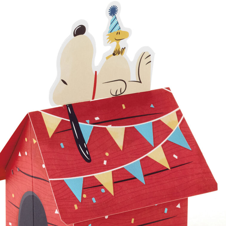 Hallmark Peanuts® Snoopy And Woodstock Hooray 3D Pop-Up Card