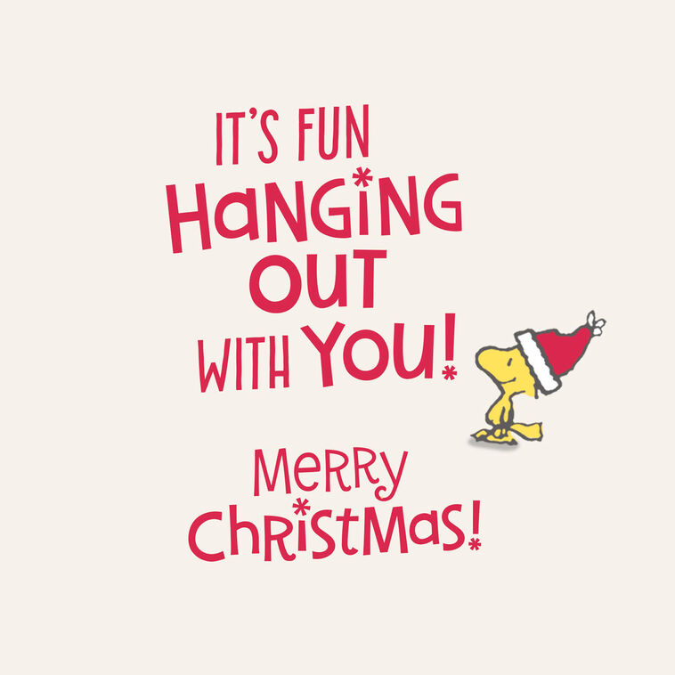 Hallmark Peanuts® Snoopy And Woodstock In Stockings Funny Christmas Card