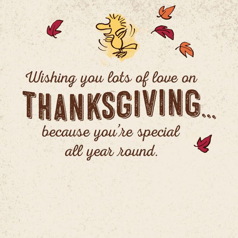 Hallmark Peanuts® Snoopy And Woodstock Lots Of Love Thanksgiving Card