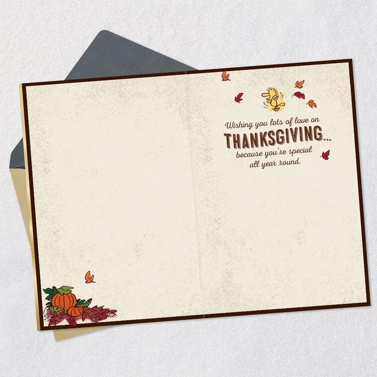 Hallmark Peanuts® Snoopy And Woodstock Lots Of Love Thanksgiving Card