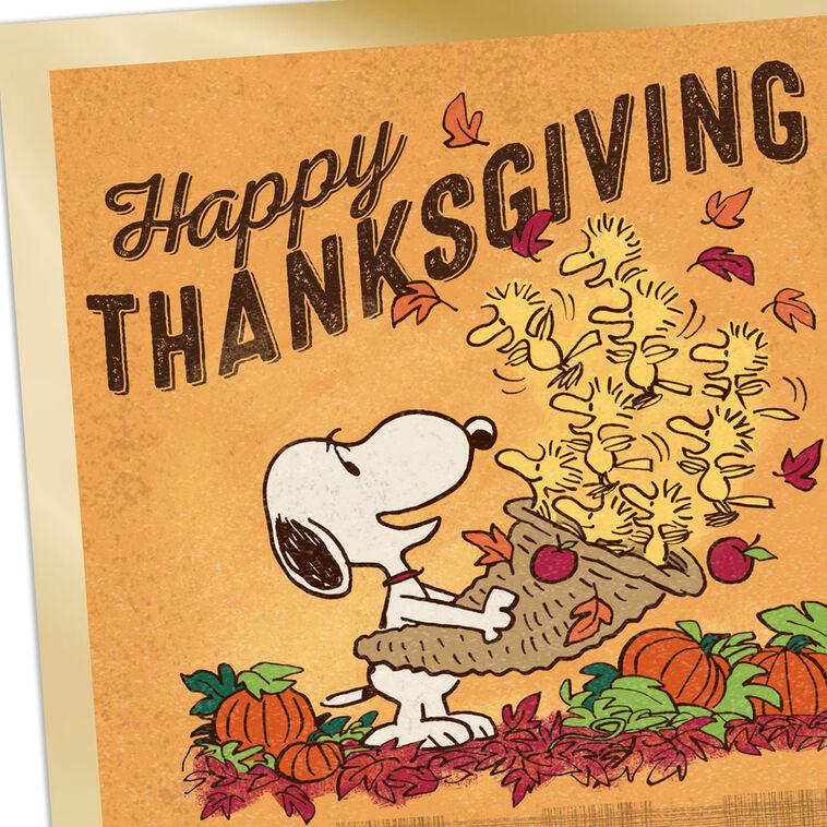Hallmark Peanuts® Snoopy And Woodstock Lots Of Love Thanksgiving Card