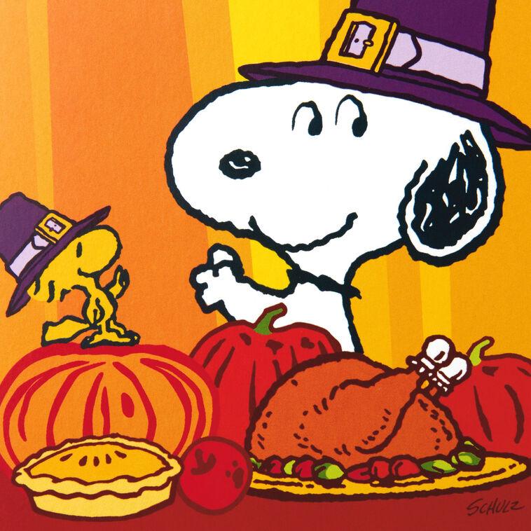 Hallmark Peanuts® Snoopy And Woodstock Thanksgiving Cards Pack Of 10