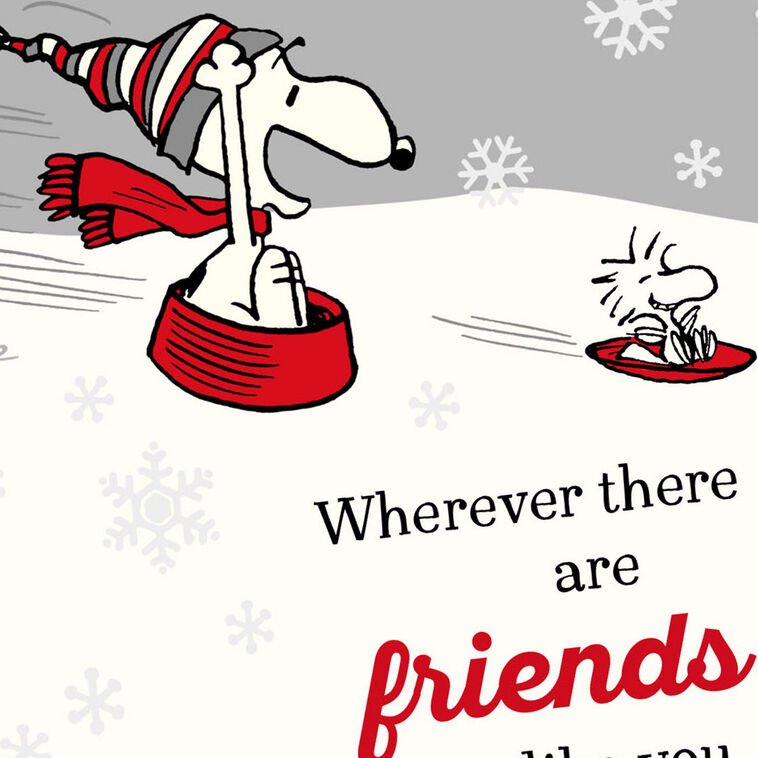 Hallmark Peanuts® Snoopy Friends Like You Christmas