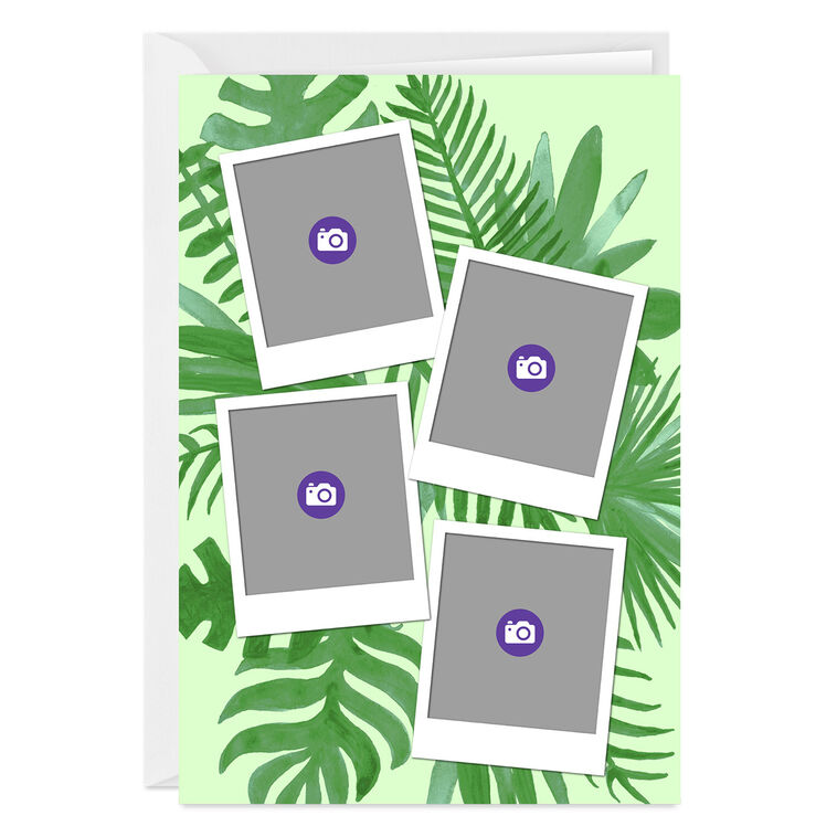 Hallmark Personalized Tropical Ferns On Green Photo Card