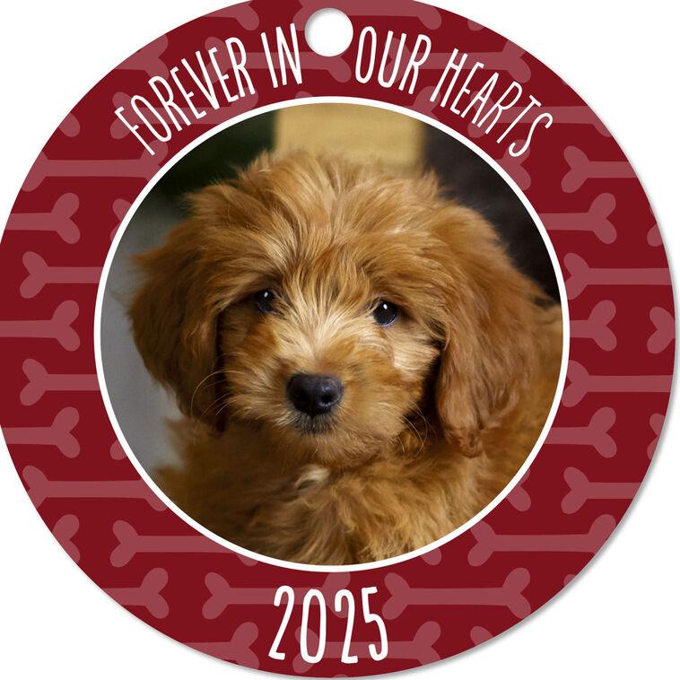 Hallmark Pet Memorial Round Metal Personalized Ornament Custom Photo And Text