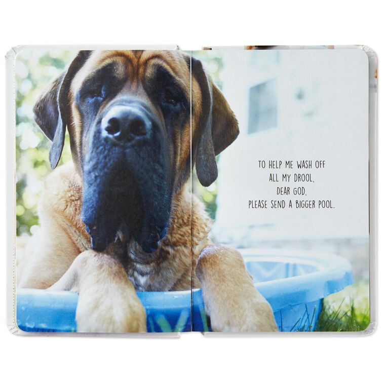 Hallmark Pet Prayers: Funny Pleas And Praise From Our Animal Friends Book