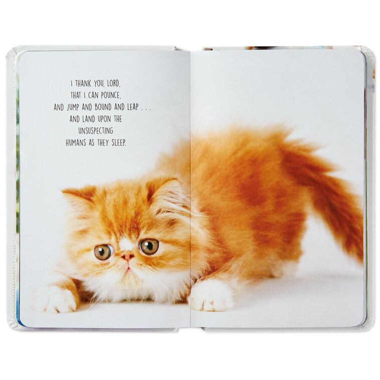 Hallmark Pet Prayers: Funny Pleas And Praise From Our Animal Friends Book