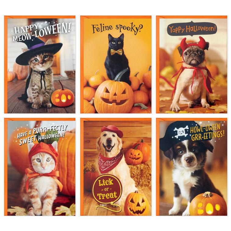 Hallmark Pet Puns Boxed Halloween Cards Assortment Pack Of 48