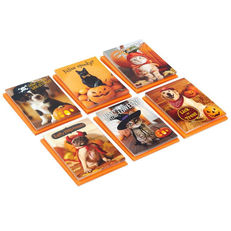 hallmark Pet Puns Boxed Halloween Cards Assortment Pack of 48