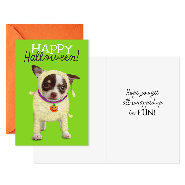 Hallmark Pets In Costume Assorted Halloween Cards Pack Of 8