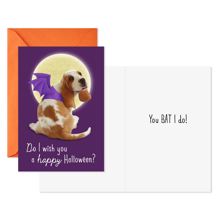 Hallmark Pets In Costume Assorted Halloween Cards Pack Of 8