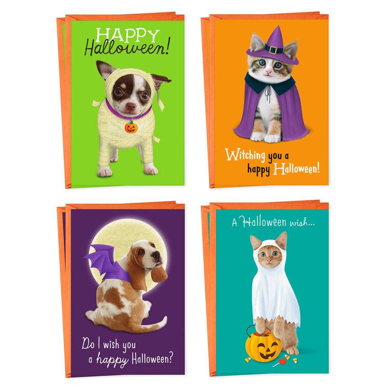 hallmark Pets in Costume Assorted Halloween Cards Pack of 8