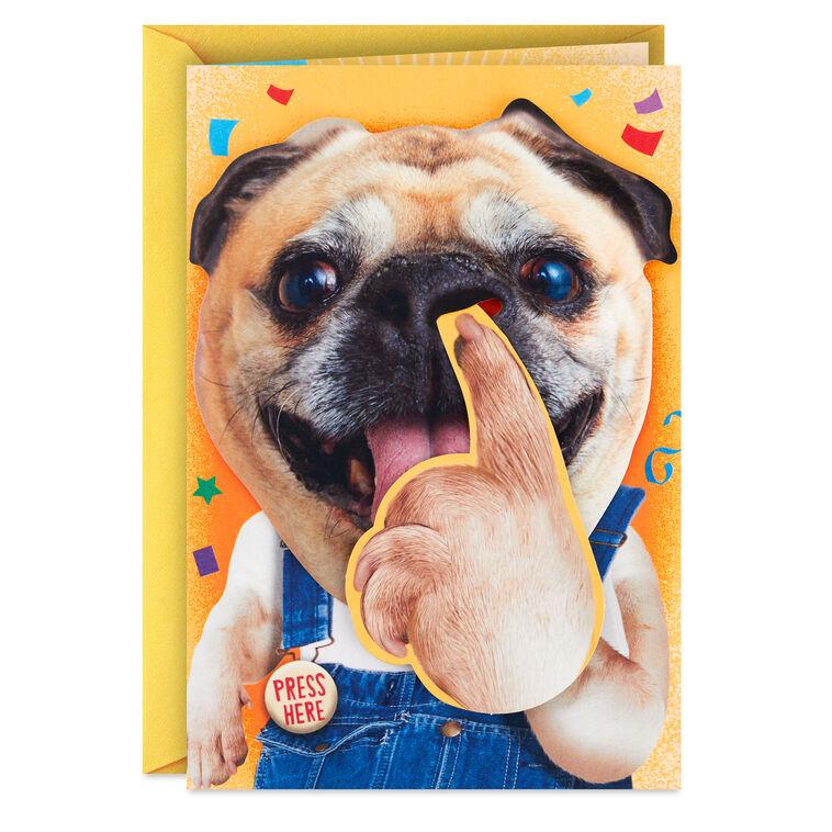 hallmark Pickin' and Grinnin' Funny Musical Birthday Card With Motion
