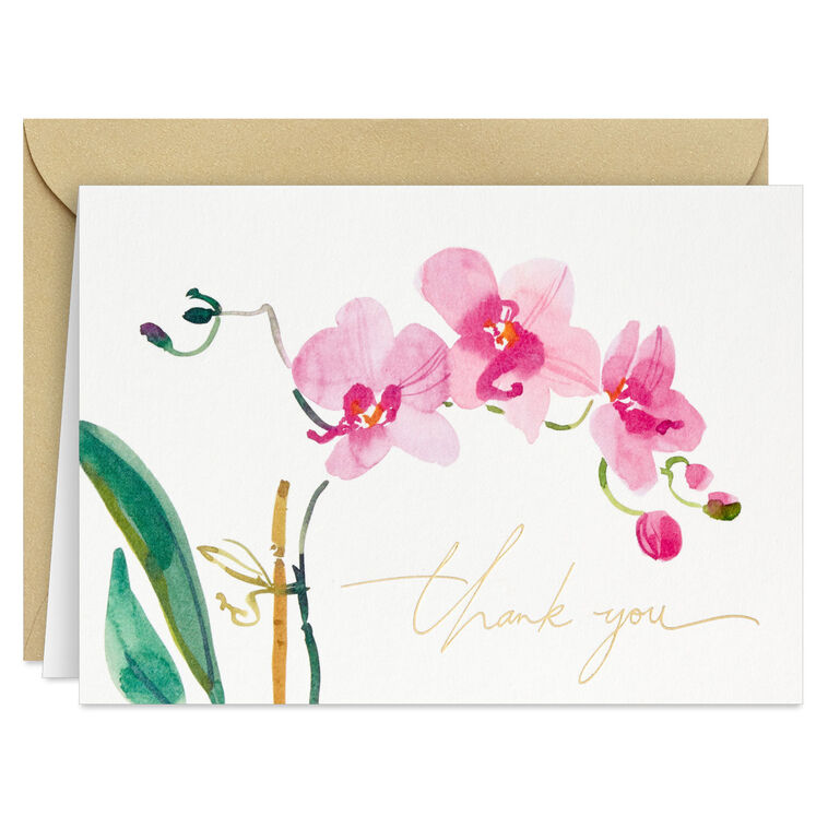 Hallmark Pink Orchids Boxed Blank Thank-You Notes Pack Of 20