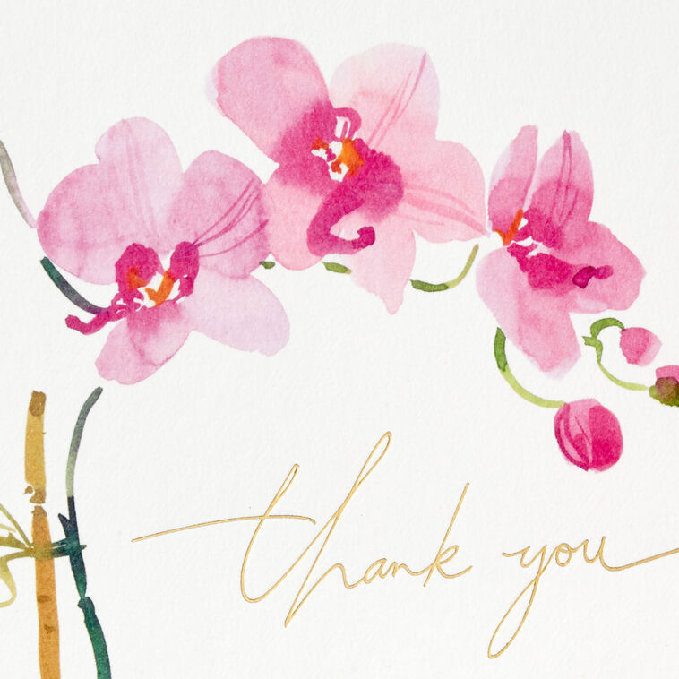 Hallmark Pink Orchids Boxed Blank Thank-You Notes Pack Of 20