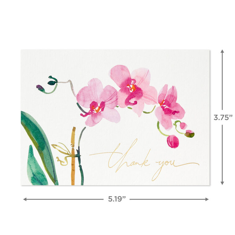 Hallmark Pink Orchids Boxed Blank Thank-You Notes Pack Of 20