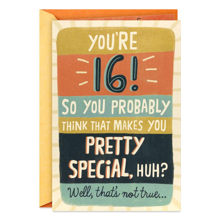 hallmark Pretty Special All the Time 16th Birthday Card