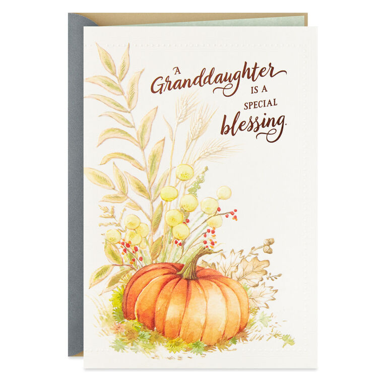 hallmark Pumpkin in a Field Thanksgiving Card for Granddaughter