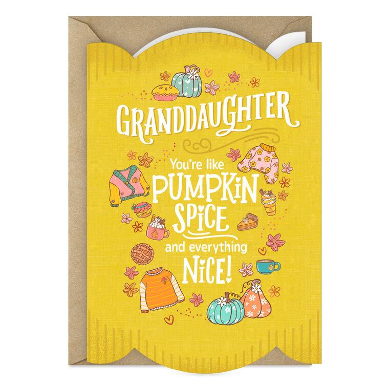 hallmark Pumpkin Spice and Everything Nice Thanksgiving Card for Granddaughter