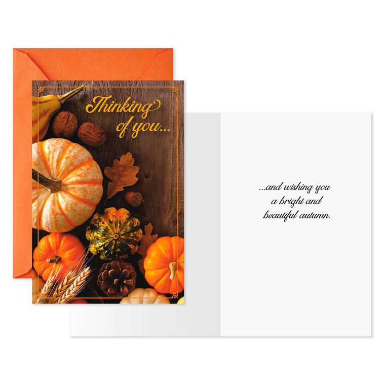 Hallmark Pumpkins And Gourds Halloween Cards Pack Of 6