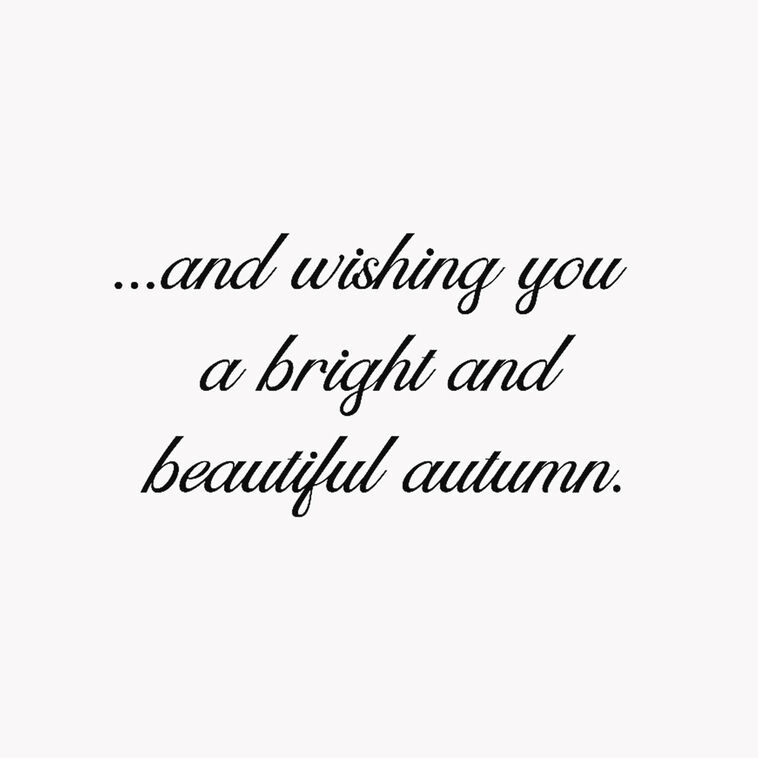 Hallmark Pumpkins And Gourds Halloween Cards Pack Of 6