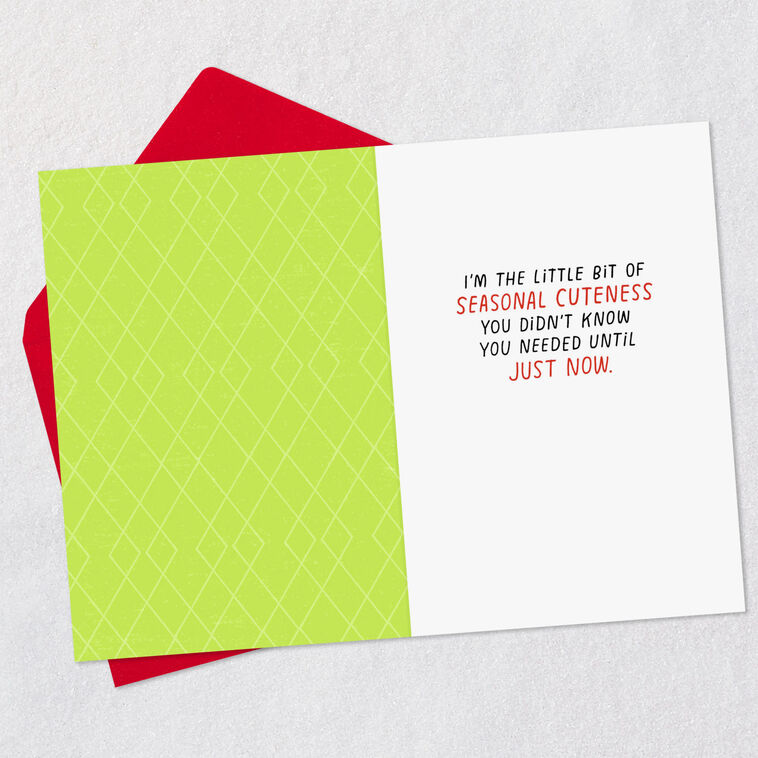 Hallmark Puppy Dog In Santa Hat Funny Christmas Card