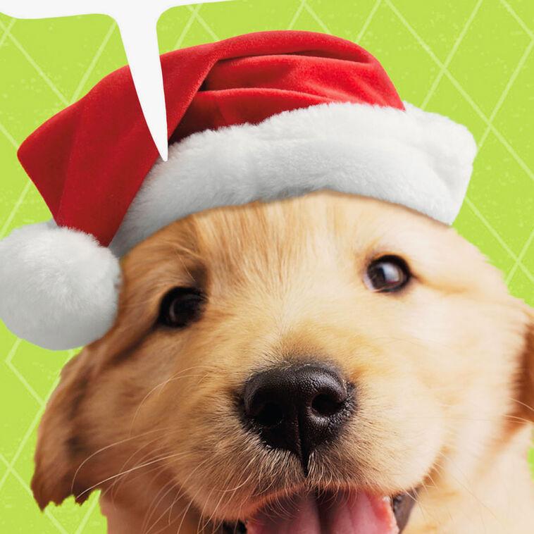 Hallmark Puppy Dog In Santa Hat Funny Christmas Card