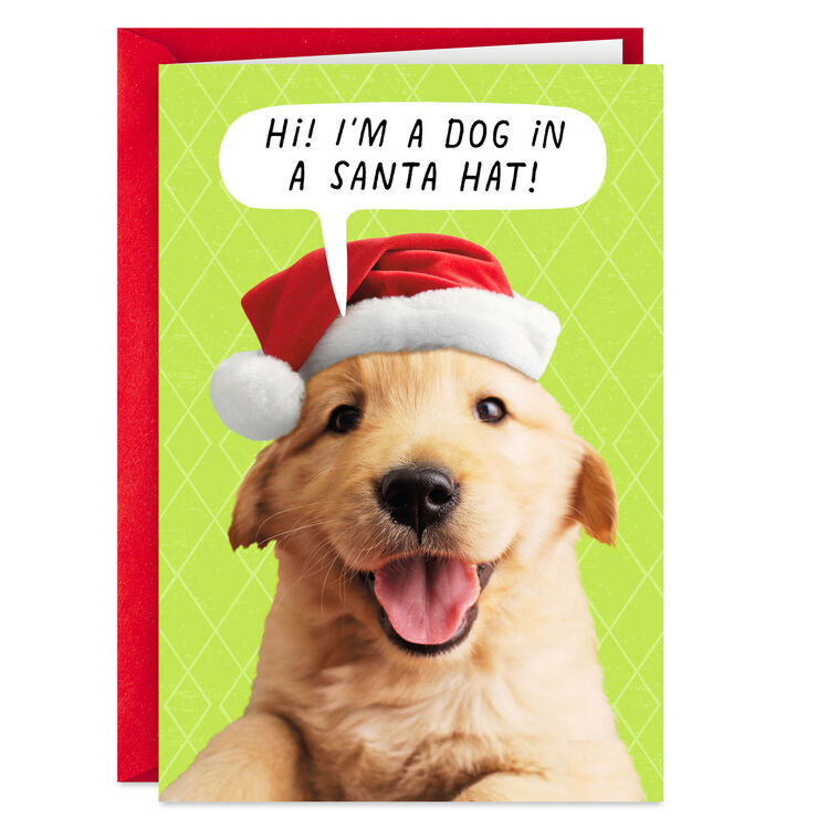 hallmark Puppy Dog in Santa Hat Funny Christmas Card