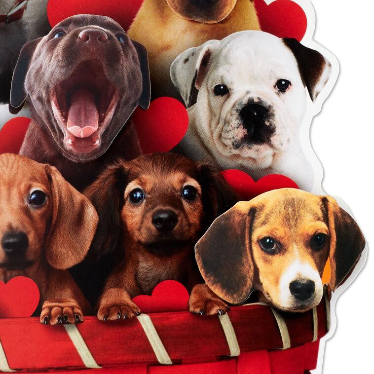 Hallmark Puppy Dogs In Basket Funny Musical Valentine's Day Card