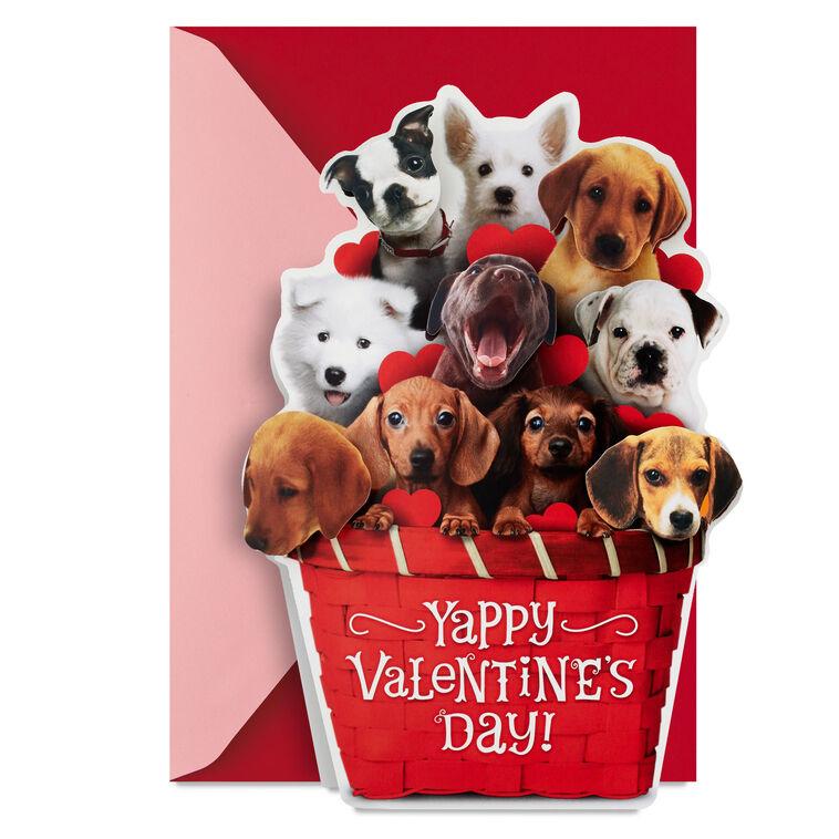 hallmark Puppy Dogs in Basket Funny Musical Valentine's Day Card