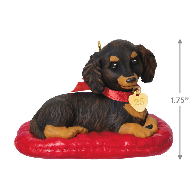 Hallmark Puppy Love Long-Haired Dachshund 2025 Ornament