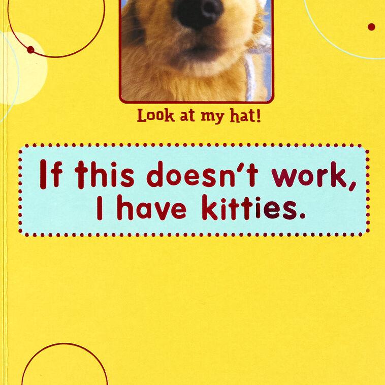 Hallmark Puppy Pics To Help Forget Getting Older Birthday Card