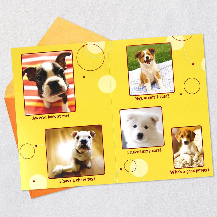 Hallmark Puppy Pics To Help Forget Getting Older Birthday Card