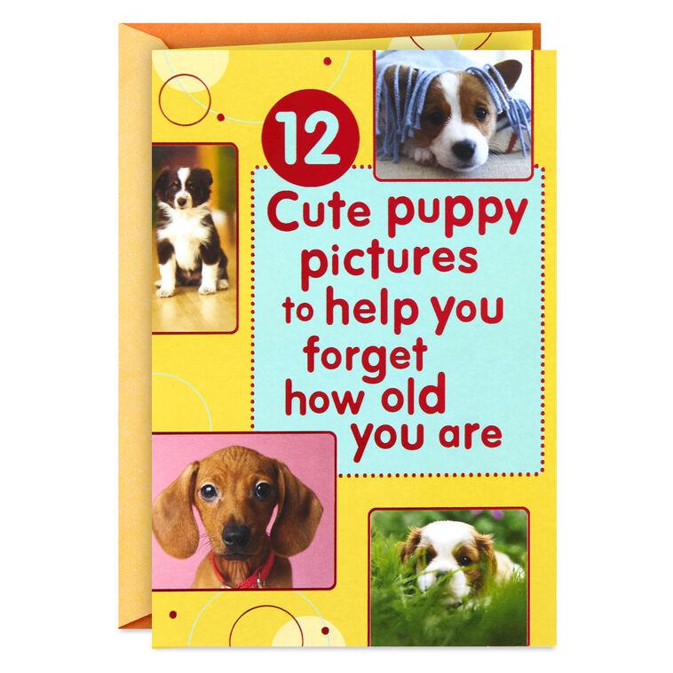 hallmark Puppy Pics to Help Forget Getting Older Birthday Card
