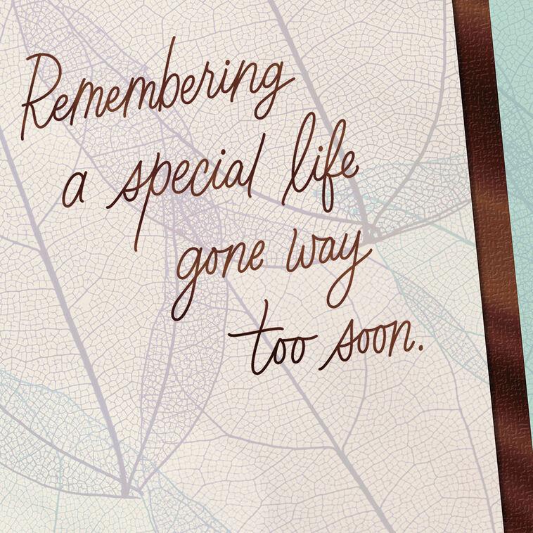 Hallmark Remembering A Special Life Gone Too Soon Sympathy Card