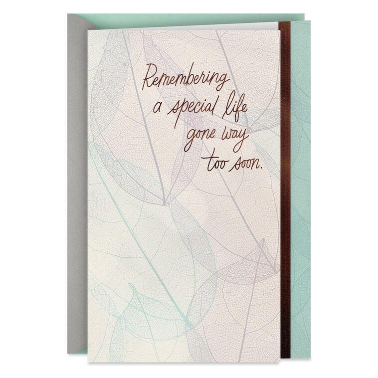 hallmark Remembering a Special Life Gone Too Soon Sympathy Card