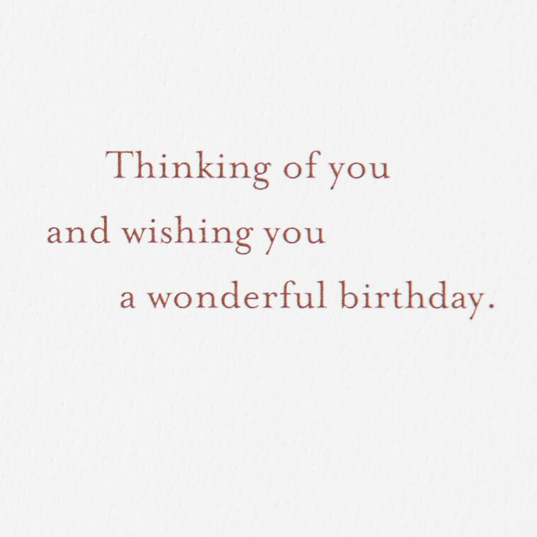 Hallmark Sailboat Enjoy The Journey Birthday Card For Brother