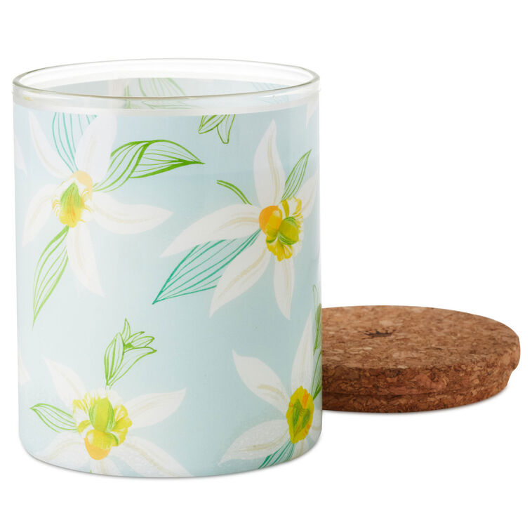 Hallmark Salted Vanilla And Sandalwood Scented 2-Wick Jar Candle 14.5 Oz