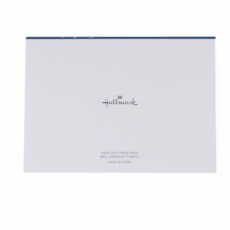 Hallmark Silver Script On Blue Blank Thank-You Notes Box Of 40