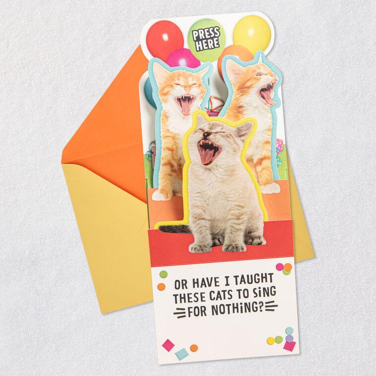 Hallmark Singing Cats Funny Musical Pop-Up Birthday Card