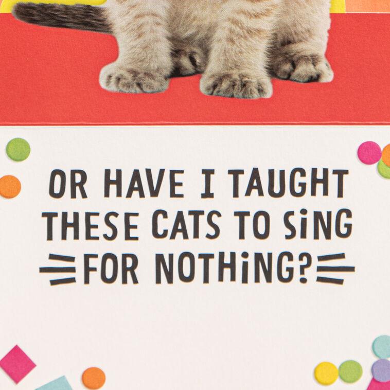 Hallmark Singing Cats Funny Musical Pop-Up Birthday Card